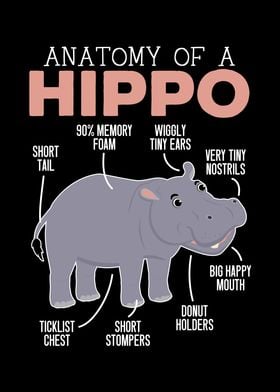 Anatomy Of A Hippo