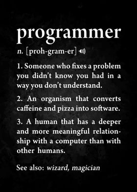 Programmer Definition