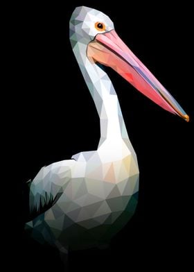 Pelican