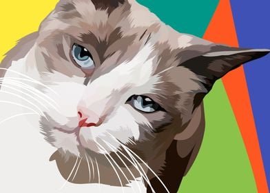 Snowshoe cat in vector