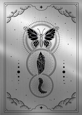 Metamorphosis tarot card