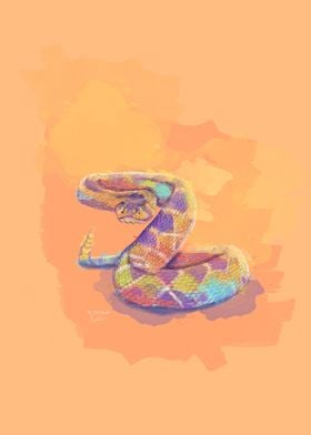 Colorful Rattlesnake 