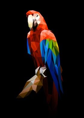 Parrot