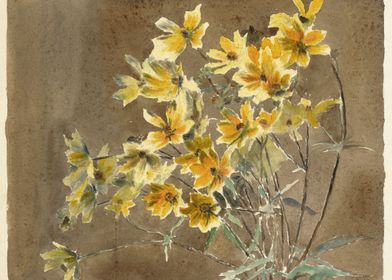 Yellow Flowers 1915