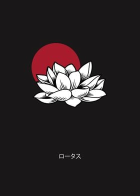 Japanese lotus