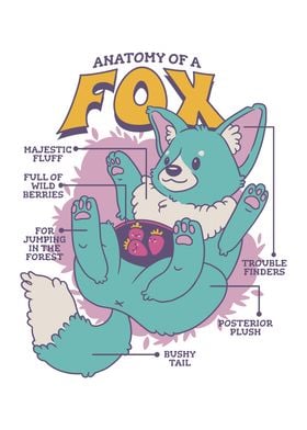 Anatomy of a Fox Funny