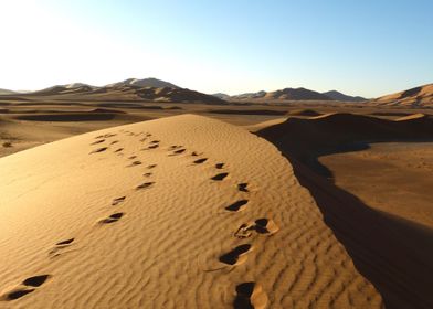 Sahara dunes footprints