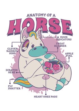 Anatomy of a Horse Funny