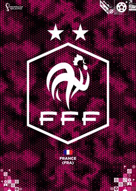 world cup france