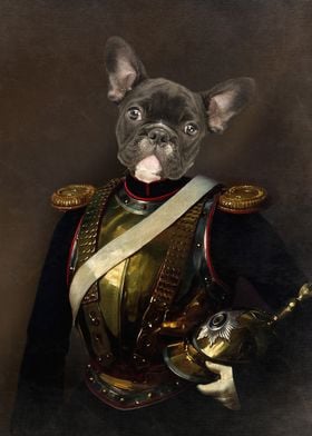 French Bulldog Dog