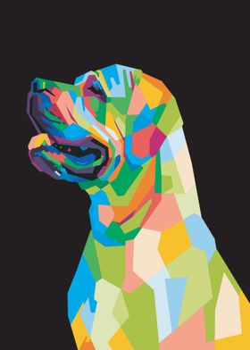 Colorful Dog Head