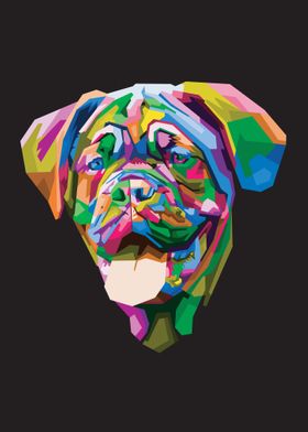 Colorful Dog Head