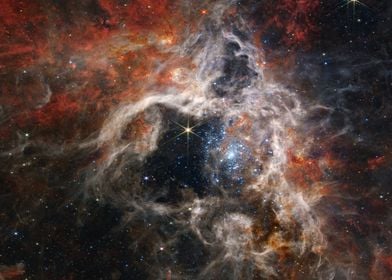 Tarantula Nebula