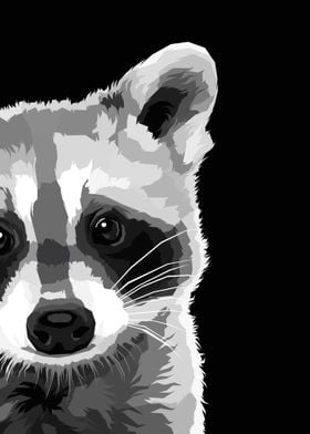 Raccoon