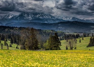 View of Tatra Mountains