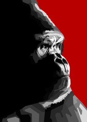 Gorilla