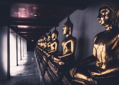 Golden Buddha Collection