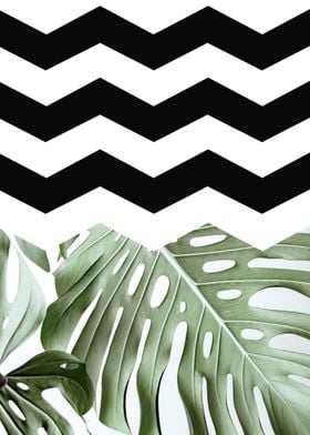 Botanical and chevron 02