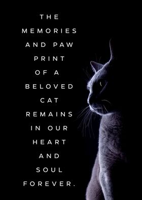 Quote About Death of Cat