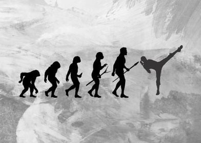 evolution of karate