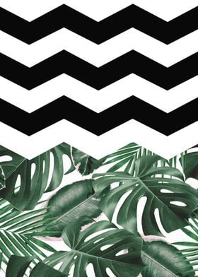 Botanical and chevron 01