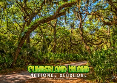 Cumberland Island