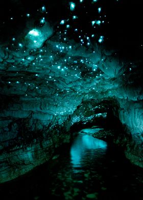 Glowworm caves New Zealand