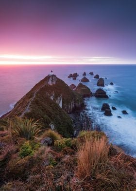 Lighthouse New Zealand