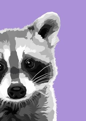 Raccoon