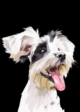 Schnauzer dog in vector