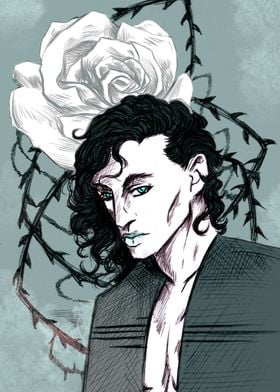 Pale king of roses