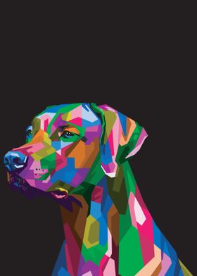 Colorful dog head