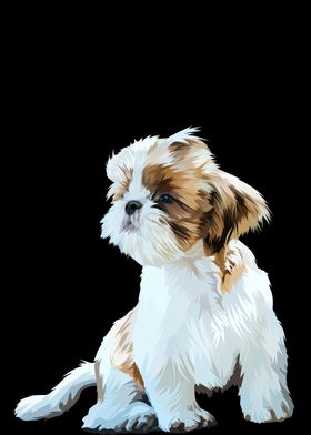 Shih tzu dog in vector