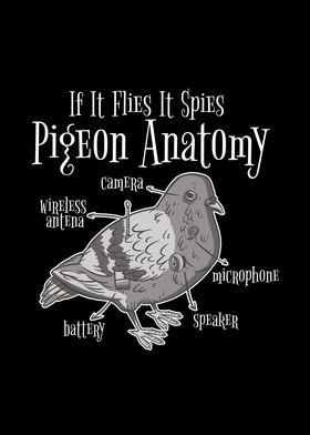 Anatomy of a Pigeon Funny' Poster by QwertyDesigns | Displate