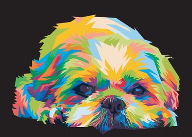 Colorful dog head