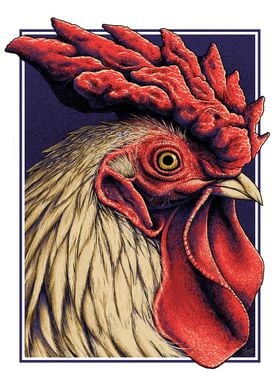 Chicken Portrait