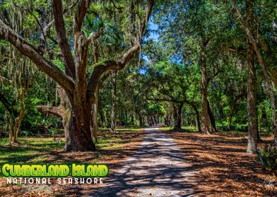 Cumberland Island