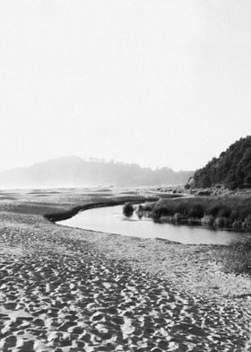 Oregon Coast Landscape