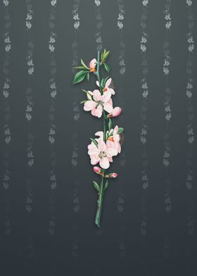 Vintage Peach Flower