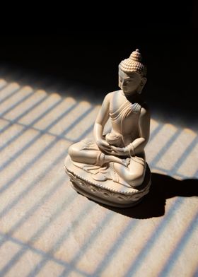 Buddha in light and shade