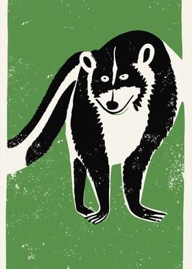 Raccoon Illustration