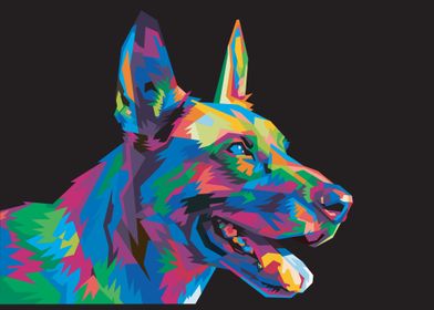 Colorful german shepherd