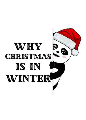 why christmas in winter