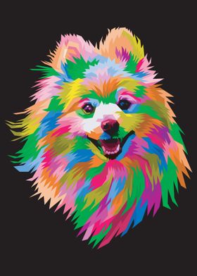 Colorful dog pomeranian