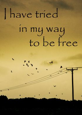 To be free