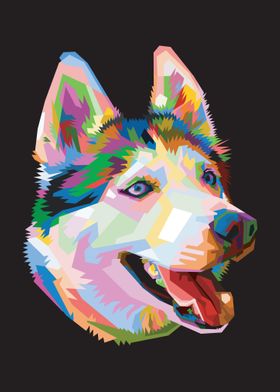 Colorful dog head