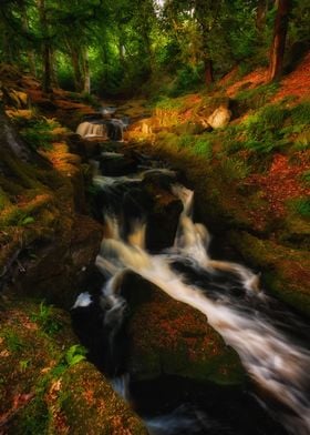 Mountain stream