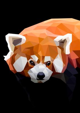 Red Panda