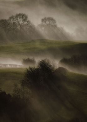 Mysterious foggy morning