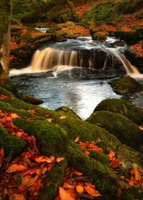 Scenic mountain creek